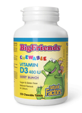 Natural Factors Big Friends Vitamin D3 400IU (Berry Bunch) - 250 Chewable Tablets