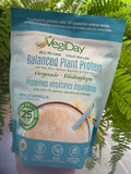 Vegiday Protein All in One 475g