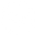 The Natural Vibe logo