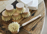 Casa Agave Replacement Brush Head