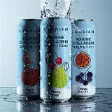 LANDISH SPARKLING WATER APPLE