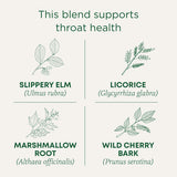 Traditional Medicinals Organic Throat Coat Tea - 16 Bags