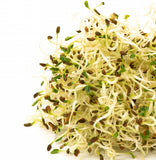 Sprout Master Organic Alfalfa - 1kg