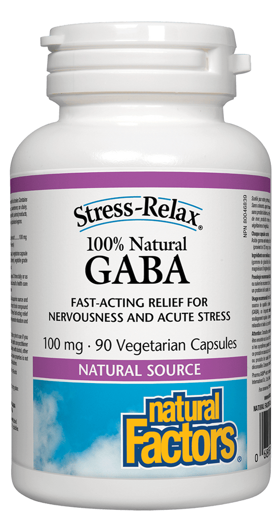 Natural Factors GABA 100mg - 90 Capsules