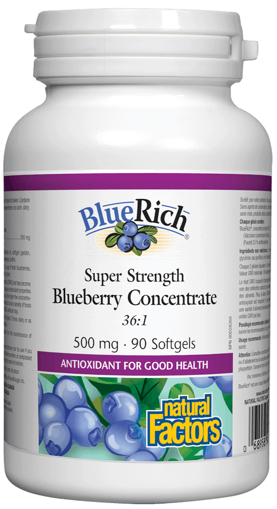 Natural Factors Blueberry Concentrate 500mg - 90 Softgels
