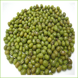 Sprout Master Organic Mung Beans - 1kg