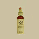 Bach Flower Remedies Honeysuckle - 20ml