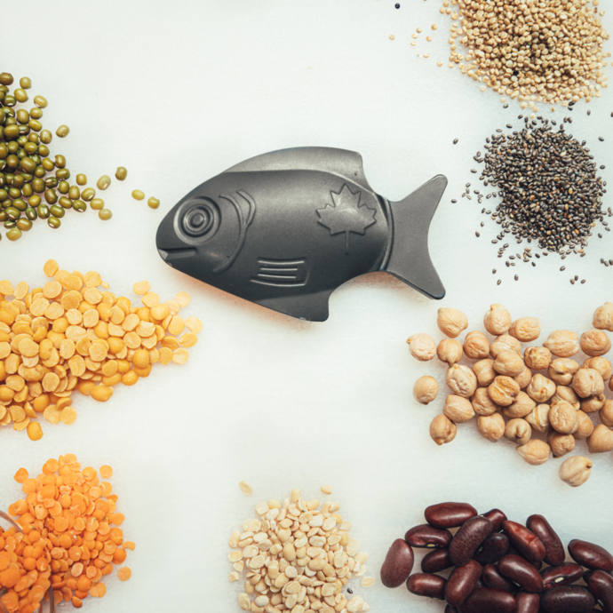 Lucky Iron Fish Cast Iron Cooking Tool