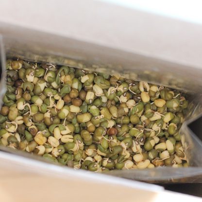 Second Spring Organic Sprouted Mung Beans - 350g