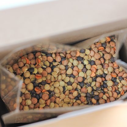 Second Spring Organic Sprouted Lentil Trio - 325g