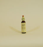 Bach Flower Remedies Star Of Bethlehem - 20ml