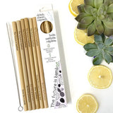 The Future Is Bamboo 6-Pack Bamboo Straws With Brush