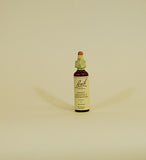 Bach Flower Remedies Sweet Chestnut - 20ml