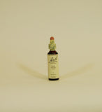 Bach Flower Remedies Vine - 20ml