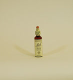 Bach Flower Remedies Water Violet - 20ml