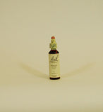 Bach Flower Remedies Willow - 20ml