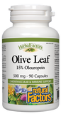 Natural Factors Olive Leaf 500mg - 90 Capsules