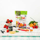 DeeBee's Organics' SuperFruit Freezies - 12 Pack